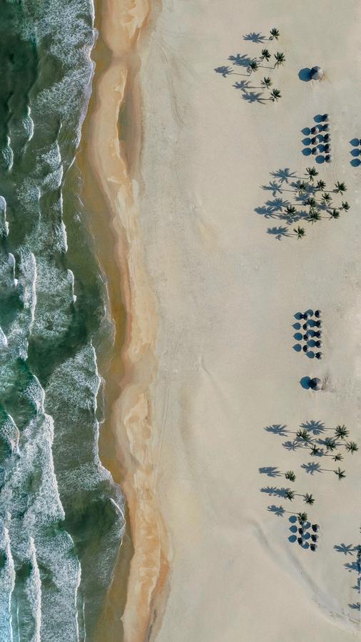 Aerial view of beach umbrellas